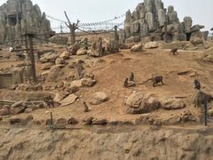 -石家庄市动物园