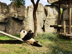 -上海野生动物园