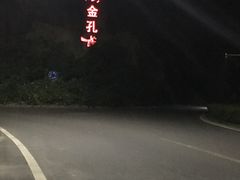 -金孔雀温泉旅游度假村