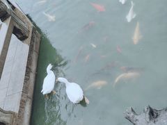 -祝家花園(伯渎港店)