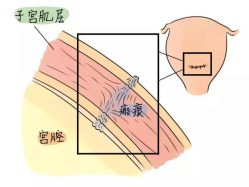 -邢台妇产医院
