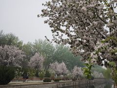 -海棠花溪(元大都城垣遗址公园)