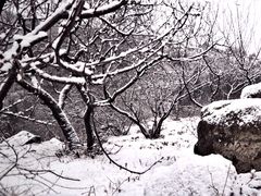 -白水寺森林公园