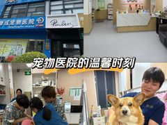 -康成宠物医院24H·CT·核磁共振