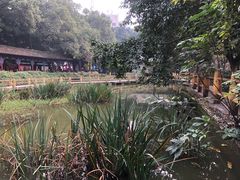 -古真记钵钵鸡(老公园店)