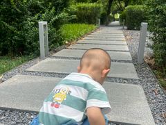 -木塔寺遗址生态公园