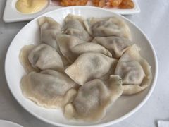 茴香猪肉水饺-枫林饺子