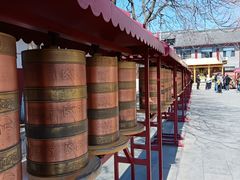 -护国法轮寺