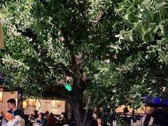 -绿茶餐厅(乐峰广场店)