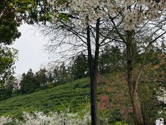 -南北湖风景区