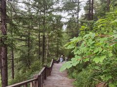 -苏木山森林公园