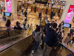 -澳门威尼斯人综合度假区