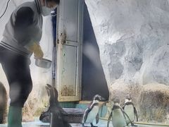 -北戴河圣蓝海洋公园