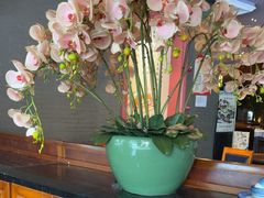 -八府香鸭·啫啫煲(华山路店)