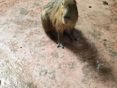 -长鹿旅游休博园