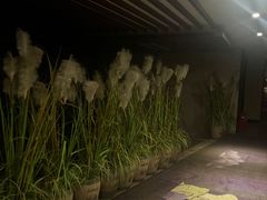 -韶关经律论国际酒店温泉