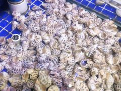 -青蓬蒸汽海鲜·深圳老字号·团建聚会(壹方城店)