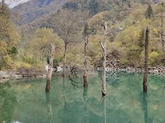 -叠溪松坪沟景区