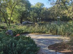 -滨河世纪广场公园