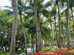 -三亚南山文化旅游区