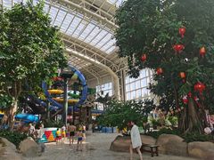 -杭州开元森泊度假乐园