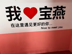 -宝燕乐园(闵行旗舰店)