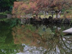 -江心屿景区