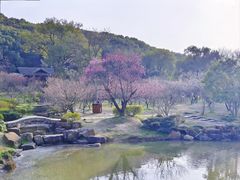 -无锡梅园公园