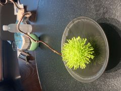 -大拙里·精致融合菜(沙湖桃源国际店)