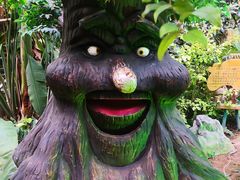 -呀路古热带植物园