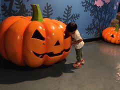 -烟台海昌鲸鲨海洋公园