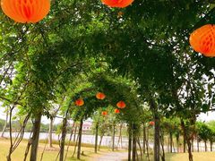 -上海长兴岛郊野公园