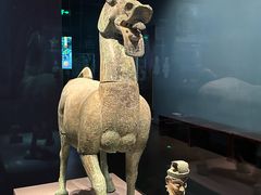 -广西壮族自治区博物馆