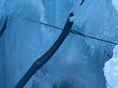 -青峰峡国家森林公园