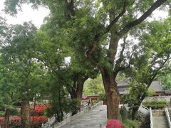 -红螺寺