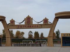 -金塔沙漠胡杨林景区