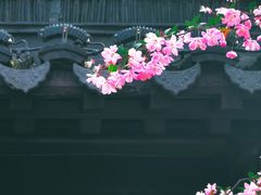 -莫愁湖公园