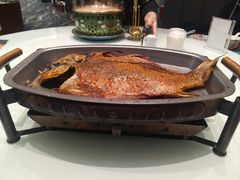 -哈啾嗨·新概念蒙餐(红星新城店)