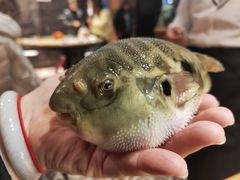 -永安鱼庄·镇江菜(丁卯店)