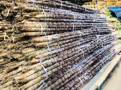 -深圳市海吉星国际农产品物流管理有限公司