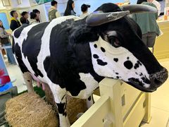 -红星前进面包牛奶公司(君太店)