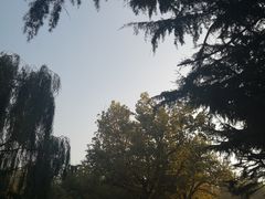 -贮水山儿童公园