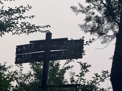 -北京西山国家森林公园