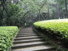 -杭州半山国家森林公园