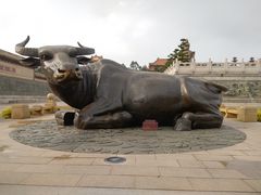 -广东圆玄道观
