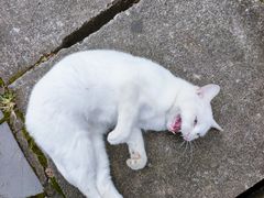 -敬亭山风景名胜区