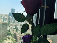 -忘忧草融合私房菜(红鼎国际店)