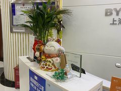 -泰康拜博口腔(世博园乐尔店)