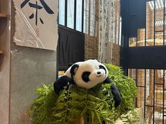 -茶去咖啡屋(武侯祠店)