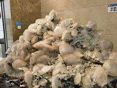 -湖南省地质博物馆